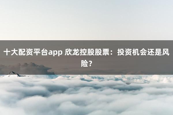 十大配资平台app 欣龙控股股票：投资机会还是风险？