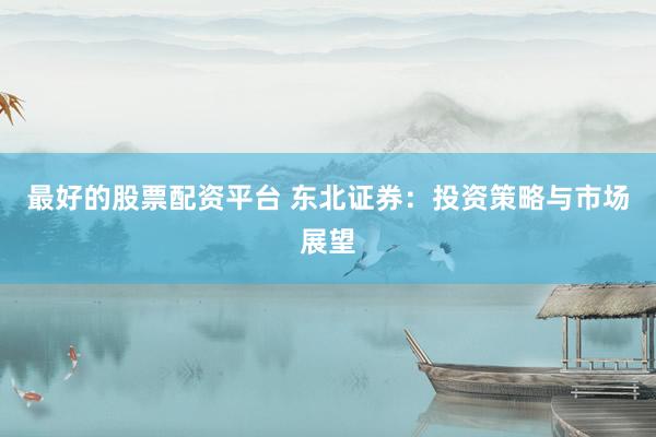 最好的股票配资平台 东北证券：投资策略与市场展望