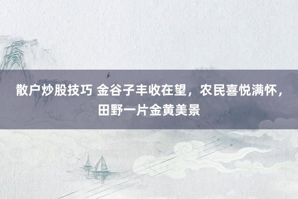 散户炒股技巧 金谷子丰收在望，农民喜悦满怀，田野一片金黄美景