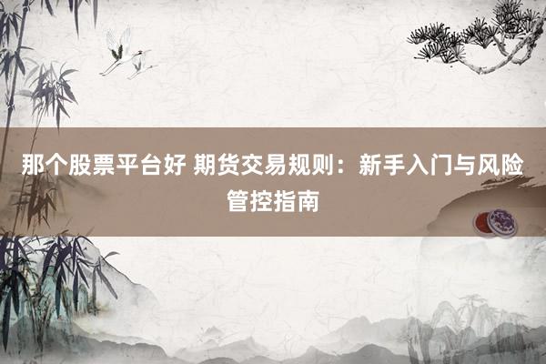 那个股票平台好 期货交易规则：新手入门与风险管控指南