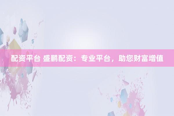 配资平台 盛鹏配资：专业平台，助您财富增值