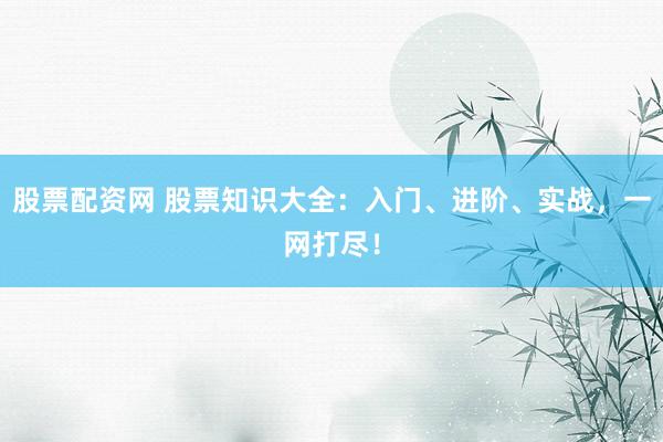 股票配资网 股票知识大全：入门、进阶、实战，一网打尽！