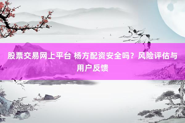 股票交易网上平台 杨方配资安全吗？风险评估与用户反馈
