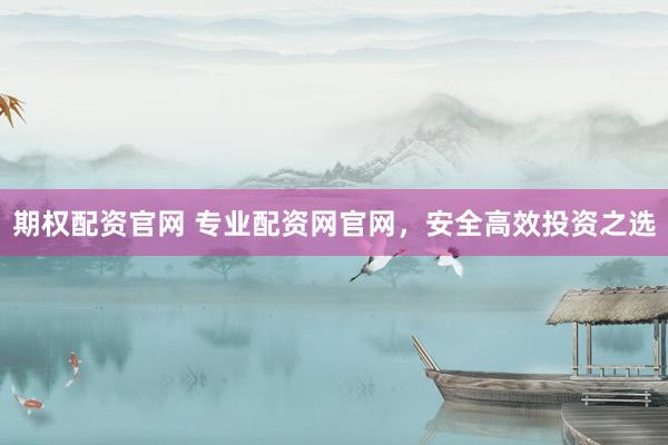 期权配资官网 专业配资网官网，安全高效投资之选