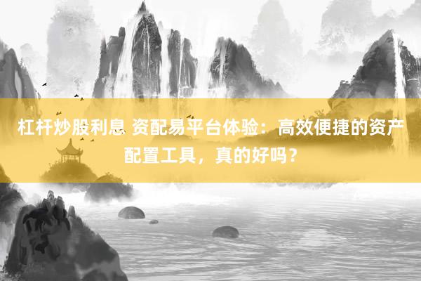 杠杆炒股利息 资配易平台体验：高效便捷的资产配置工具，真的好吗？