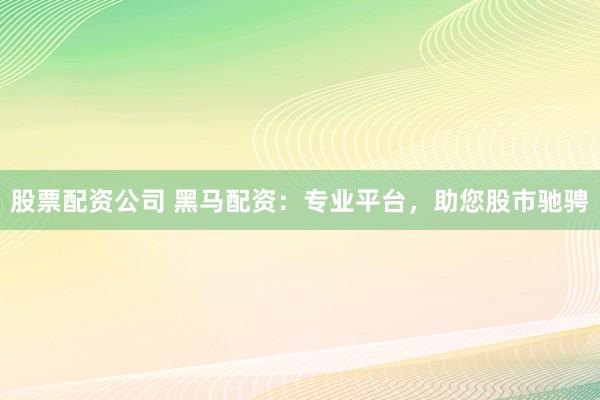 股票配资公司 黑马配资：专业平台，助您股市驰骋