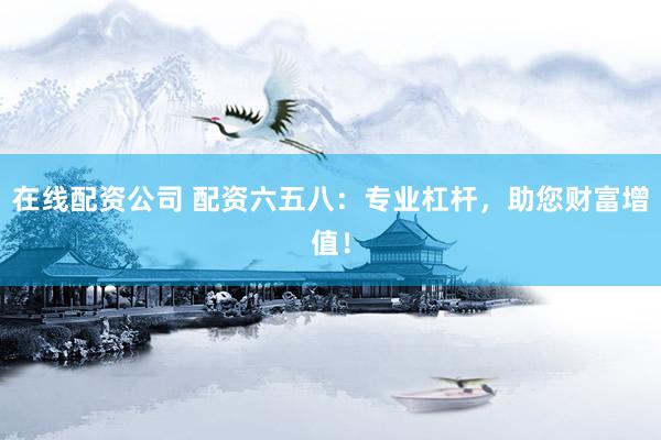 在线配资公司 配资六五八：专业杠杆，助您财富增值！