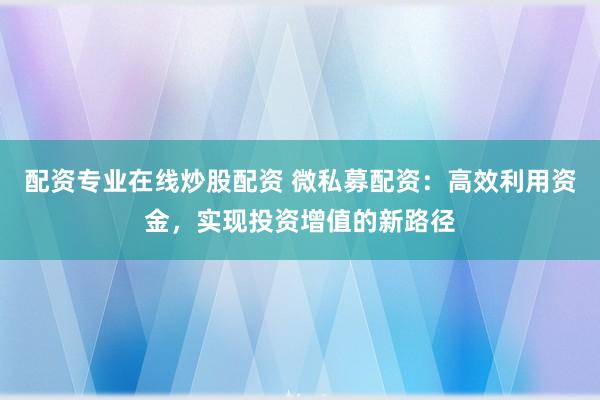 配资专业在线炒股配资 微私募配资：高效利用资金，实现投资增值的新路径