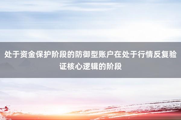 处于资金保护阶段的防御型账户在处于行情反复验证核心逻辑的阶段