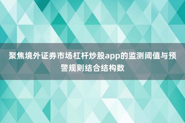 聚焦境外证券市场杠杆炒股app的监测阈值与预警规则结合结构数