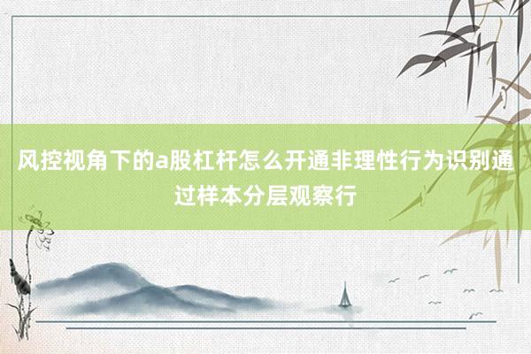 风控视角下的a股杠杆怎么开通非理性行为识别通过样本分层观察行